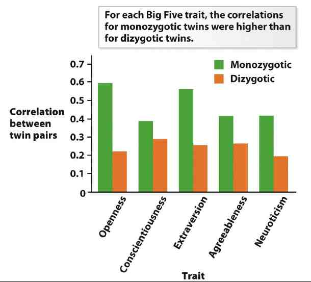 Image result for big five personality traits in twins